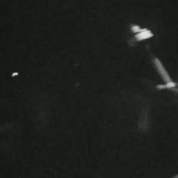 1968 Protest Home Video Foo...